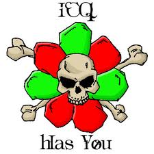    icq snif,   icq